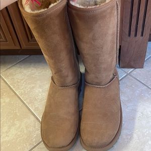 Women Tall Chestnut Uggs